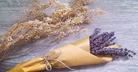 Quà tặng thầy cô dịp 20/11 cực độc từ hoa lavender – oải hương khô