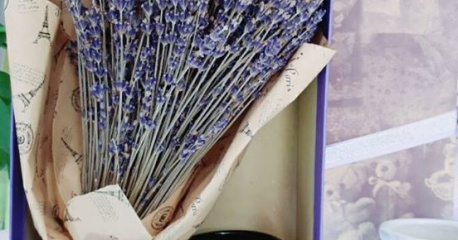 Món quà ý nghĩa từ hoa Lavender dịp lễ tình nhân valentine 14.2