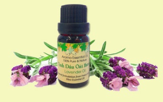 Tinh dầu Lavender - Những lợi ích không tưởng cho sức khỏe của bạn