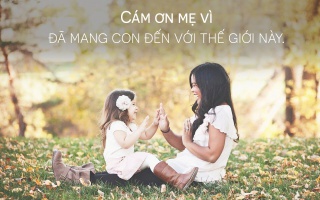 Cảm ơn và xin lỗi mẹ