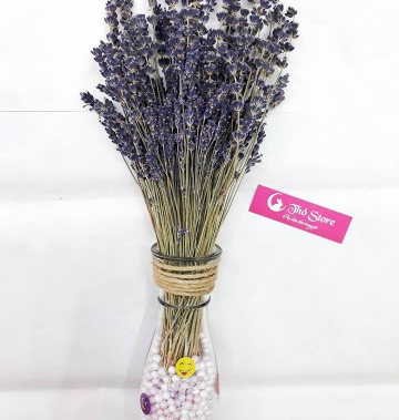 Lọ Lavender 200 cành để bàn làm việc