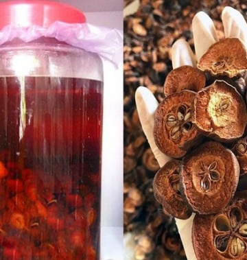 Rượu táo mèo  Tây Bắc bình 20 lít 