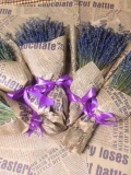 Bó hoa lavender - oải hương khô 150 cành kèm hộp 0