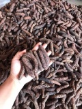Chuối hột rừng ngâm rượu 0