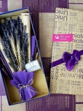 Lavender tình yêu vĩnh cửu 0