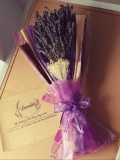 Lavender chờ đợi tình yêu 0