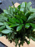 Rượu sâm ngọc linh 0