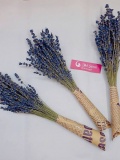 100 cành Lavender - oải hương khô 0