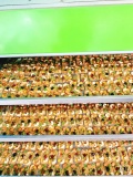 Bánh dinh dưỡng vị dừa Đô 37 500gr 0
