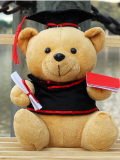 Gấu nâu tốt nghiệp 0