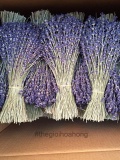 Bó Lavender nguyên bản 0