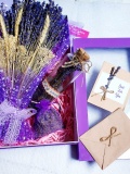 Combo Lavender hộp tím 600 0