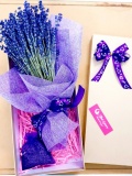 Combo Lavender bó nhỏ + túi thơm 0