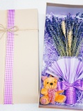 Combo Lavender + gấu bông mini xinh xắn 0