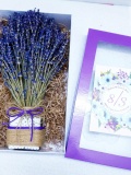 Lọ Lavender vuông kèm hộp 0