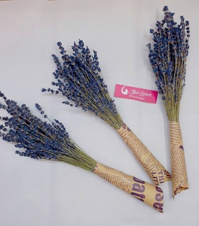 100 cành Lavender - oải hương khô