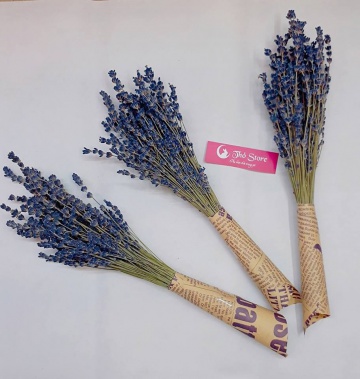 100 cành Lavender - oải hương khô