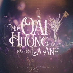 Tại Sao dùng Hoa Lavender khô làm quà tặng là ý nghĩa nhất?
