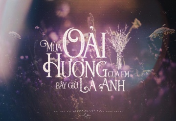 Tại Sao dùng Hoa Lavender khô làm quà tặng là ý nghĩa nhất?