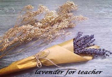 Quà tặng thầy cô dịp 20/11 cực độc từ hoa lavender – oải hương khô