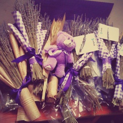 Những lý do mà bạn nên chọn hoa Lavender làm quà tri ân thầy cô dịp 20.11