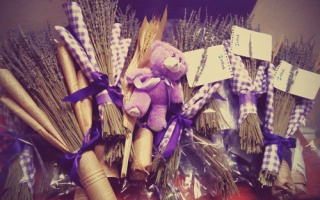 Những lý do mà bạn nên chọn hoa Lavender làm quà tri ân thầy cô dịp 20.11