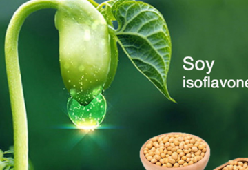 Những điều nên biết về chất isoflavone trong đậu nành
