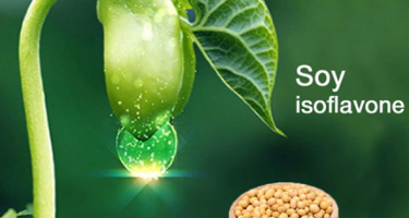 Những điều nên biết về chất isoflavone trong đậu nành