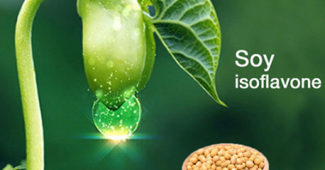Những điều nên biết về chất isoflavone trong đậu nành