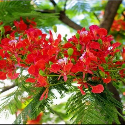 Những bài hát làm cho buổi chia tay thêm phần cảm xúc