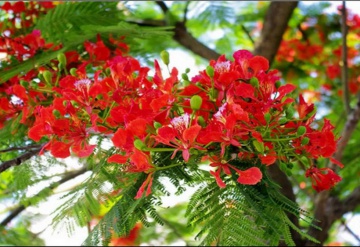 Những bài hát làm cho buổi chia tay thêm phần cảm xúc