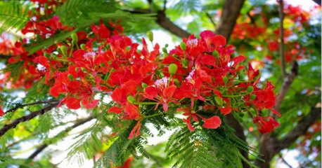 Những bài hát làm cho buổi chia tay thêm phần cảm xúc