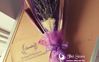 Những lợi ích bất ngờ của hoa Lavender cho sức khỏe của bạn