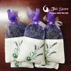 Hoa Lavender sự lựa chọn hoàn hảo cho sức khỏe của bạn