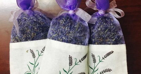 Hoa Lavender sự lựa chọn hoàn hảo cho sức khỏe của bạn