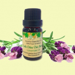 Tinh dầu Lavender - Những lợi ích không tưởng cho sức khỏe của bạn