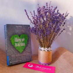 Vườn thơ tím ngát Lavender cho những tâm hồn mơ mộng