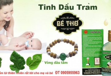 Tinh dầu tràm Huế tốt hơn hẵn những loại dầu gió khác - Bạn có biết tại sao?