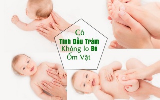 Cách dùng dầu tràm cho bé bị ho, giảm đờm, giảm ho rõ rệt