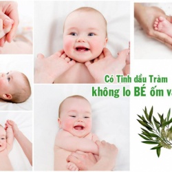 Chia sẻ tuyệt chiêu massage cho bé bằng dầu tràm tại nhà