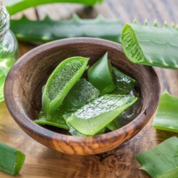 10 bài thuốc đơn giản từ các thực phẩm thường ngày giúp loại trừ bệnh đau dạ dày