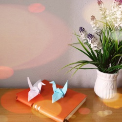 1000 con hạc giấy - món quà handmade đặc biệt ý nghĩa