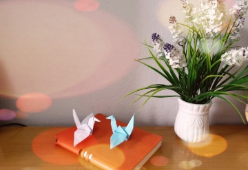 1000 con hạc giấy - món quà handmade đặc biệt ý nghĩa