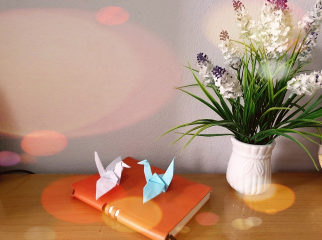 1000 con hạc giấy - món quà handmade đặc biệt ý nghĩa