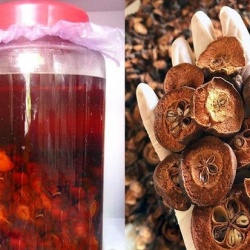 Rượu táo mèo Tây Bắc tại Đà Nẵng, rượu ngon uy tín, chất lượng cho mọi nhà