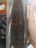 Tiêu Rừng 1