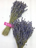 Lọ Lavender 200 cành để bàn làm việc 1