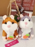 Chuột Hamter nhái tiếng  1