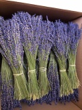 Bó Lavender nguyên bản 1