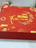 HQ008 - Giỏ quà tết Xuân Vạn Phúc 1